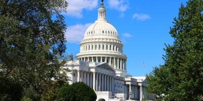 Tree-lined side of the Capitol building